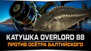 Вываживание Осётра балтийского катушкой  Overlord 88 • Русская Рыбалка 4