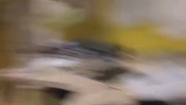 топ 5 пранков над старшим братом смотреть онлайн