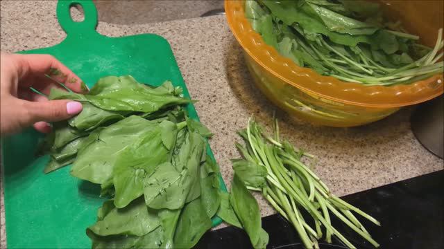 Как заморозить щавель на зиму. Заморозка щавля в домашних условиях смотреть онлайн