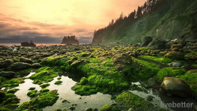 La Mejor Música Clásica Vol I