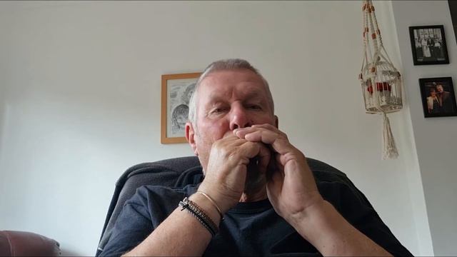 Georgia On My Mind - Baby Fat Harmonica смотреть онлайн