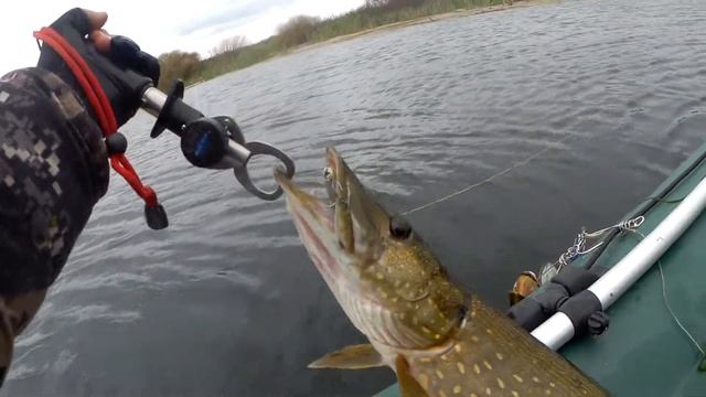 Pontoon 21 Gad Fair TsuYoki Draga 130SP и щука