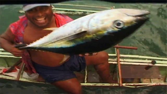 Cracking an ancient code смотреть онлайн