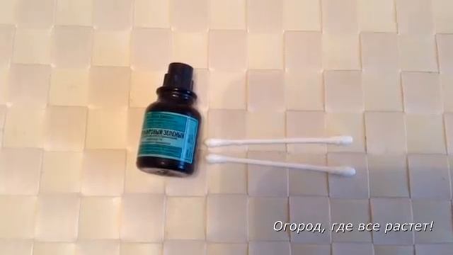 Опрыскивание сада весной.mp4 смотреть онлайн