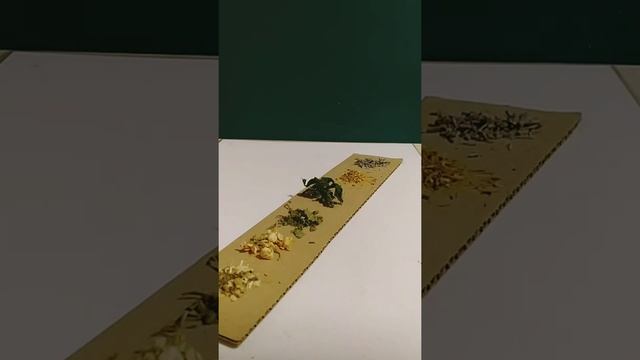 Свеча 22.02.2022. Магия работает