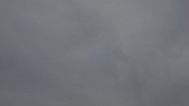 мои беспородные смотреть онлайн