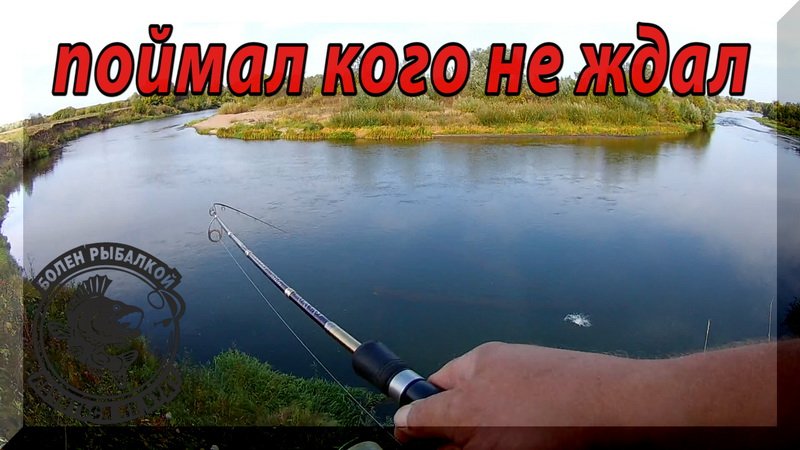 Ловля Голавля осенью на спиннинг. Рыбалка с высокого берега, в приглядку. смотреть онлайн