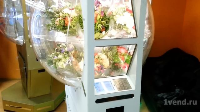 Семейная энергия