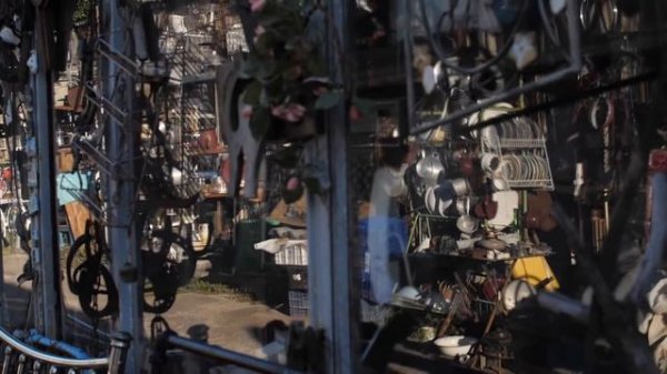 Премия Дарвина