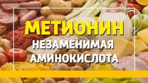 Для чего метионин необходим нашему организму