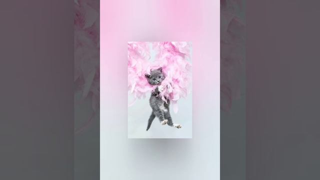 Николай Носов 