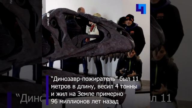 В Аргентине нашли наиболее полный скелет “динозавра-пожирателя”, жившего 96 миллионов лет назад смотреть онлайн