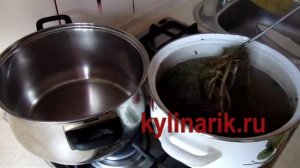 Маринованный портулак (толстянка) рецепт. Салат из портулака рецепт на kylinarik.ru