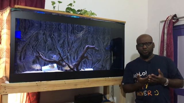 HOW TO: CARE & MAINTAIN GUIANACARA | SOUTH AMERICAN CICHLID смотреть онлайн