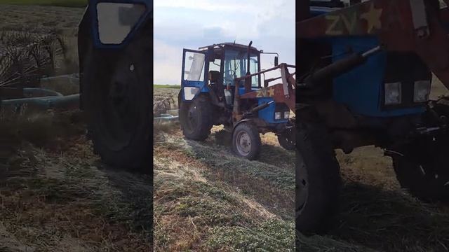 Сенокос 2023 сгребаем #мтз #сено #лето #работа смотреть онлайн