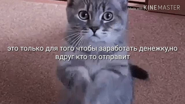 Помогите срочно(читать описание) смотреть онлайн