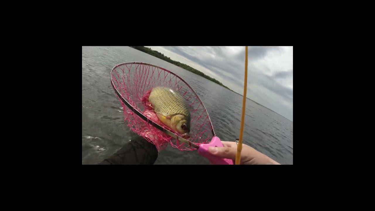 #мормышинг | Краснопёрка 500гр | смотреть онлайн