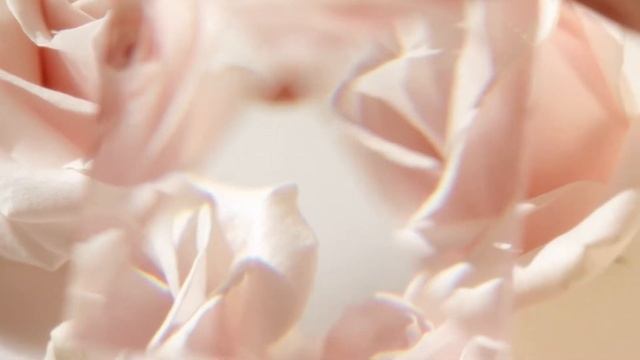 Chloé 10 Years Of An Icon Chloé Eau De Parfum