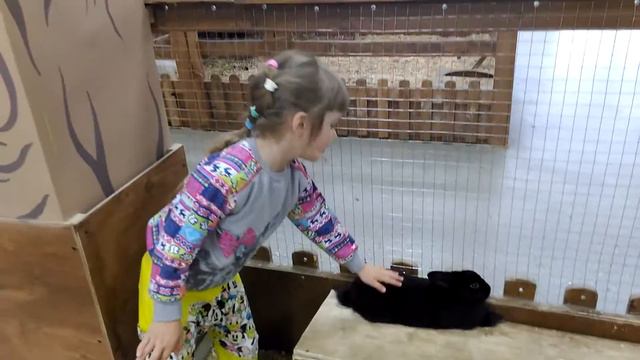 Мини зоопарк смотреть онлайн