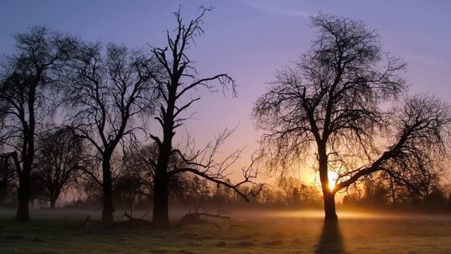 Manuel Le Saux - Stinger (Original Mix)