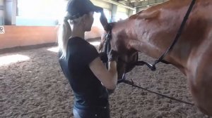 Вспомогательное средство управления - шамбон