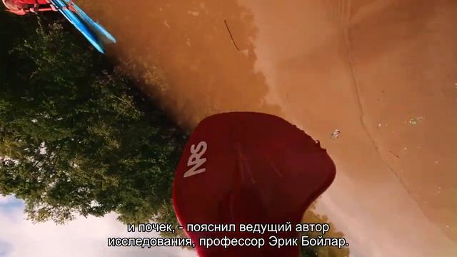 Тромбоциты могут играть ключевую роль в развитии волчанки смотреть онлайн