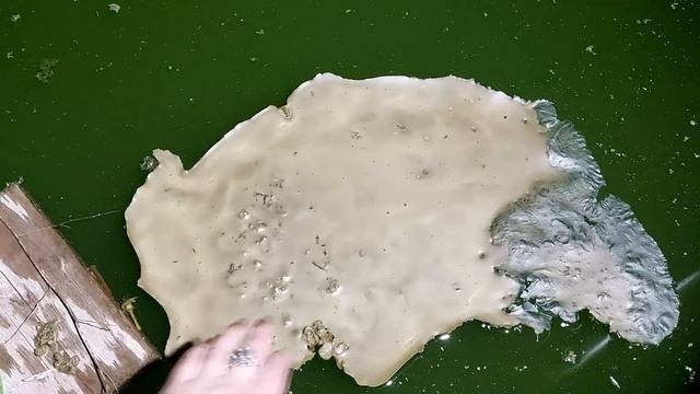 Чистка в котле "семейного гнезда" , детей, внуков, правнуков, дома, имущества от порч и "змеюки"! смотреть онлайн