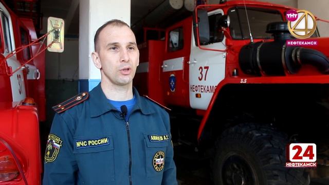 За разведение костров и сжигание мусора можно поплатиться рублем смотреть онлайн