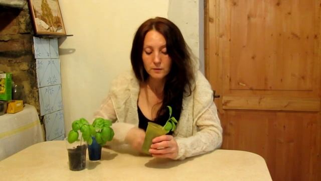 Базилик - корень сути смысла смотреть онлайн