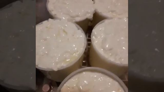 Сыр с белой плесенью (не камамбер) .Начало. смотреть онлайн