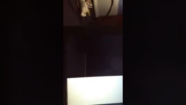 How to fix a computer that says a disc read error смотреть онлайн