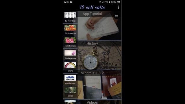 Dr Schuessler Biochemic Remedy Charts. смотреть онлайн