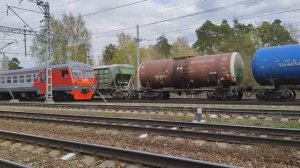 "Котопёс!" Электропоезд ЭД4М-0102/ЭР2Р-7081. Станция Орехово-Зуево