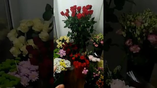 Сравнение роз 50 см с розой 150 см смотреть онлайн