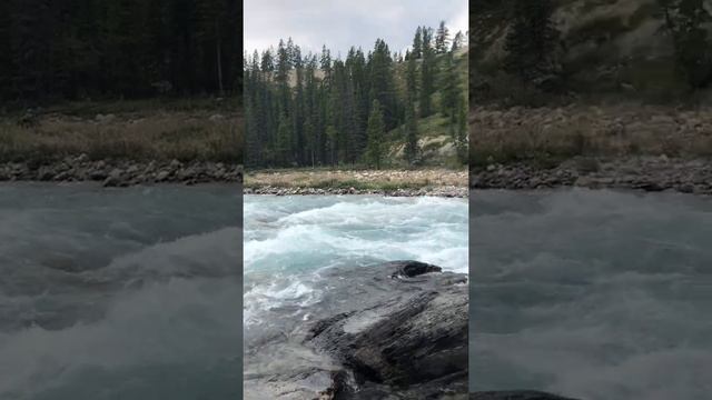 Canada Fall смотреть онлайн