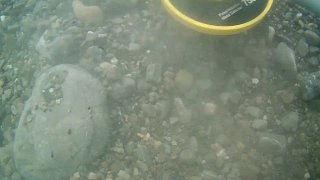 Пляжный коп.Долгожданный Маркиз/Поиск золота.We found gold/Поиск золота на пляже/gold search смотреть онлайн