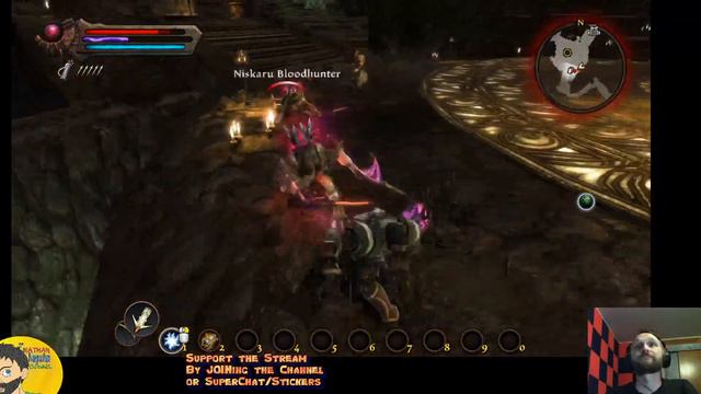 Kingdoms of Amalur Re-Reckoning with NAPALM part 2 смотреть онлайн