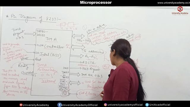 Micro38: Pin Diagram and Pin description of 8237 | Direct Memory Access смотреть онлайн
