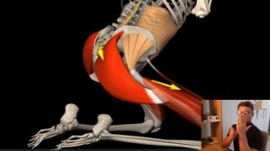 Как выровнять таз. Как определить перекос таза. Косой таз причины.