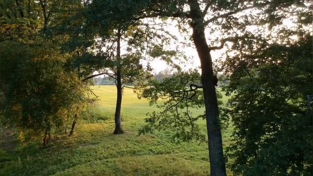 музыка для медитации, расслабления и снятия стресса Meditation Music , Nature Sounds смотреть онлайн