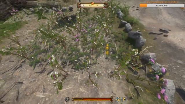 Kingdom Come: Deliverance Прохождение #39 Травка