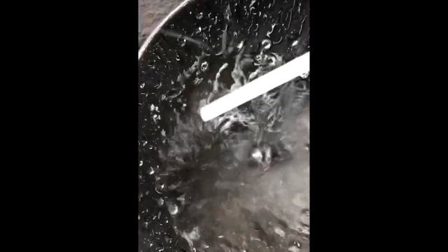 March Pump and 1/2 NPT CIP sprayball смотреть онлайн