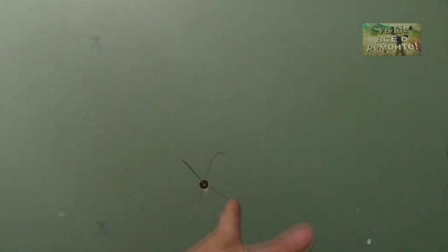 Стены из гипсокартона в ванной комнате. Все нюансы! смотреть онлайн