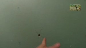 Стены из гипсокартона в ванной комнате. Все нюансы!