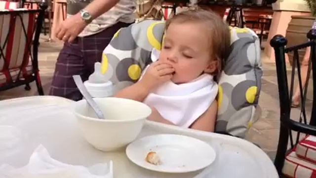 Спящий жующий хомяк!! смотреть онлайн