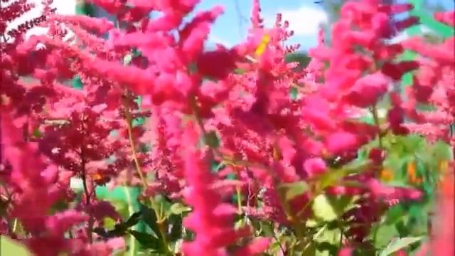 А.Монин, рок-группа "Круиз", "КРАСОТА", 2006г. смотреть онлайн