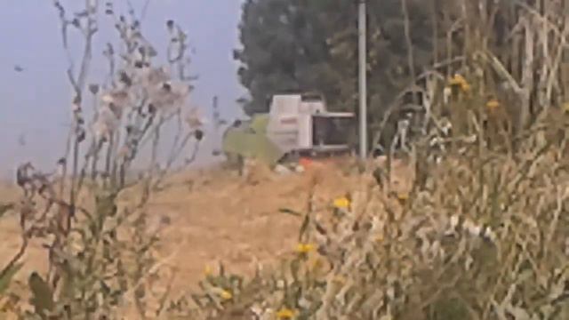 Уборка овса смотреть онлайн