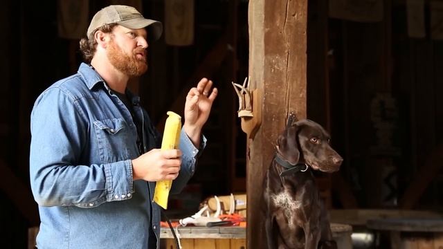 Hold Conditioning: Gun Dog Delivery Without Forced Fetch смотреть онлайн