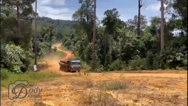 BUTUH NYALI TINGGI !!! Menjadi supir truk logging kalimantan смотреть онлайн