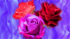 Футаж. Цветочный фон 88